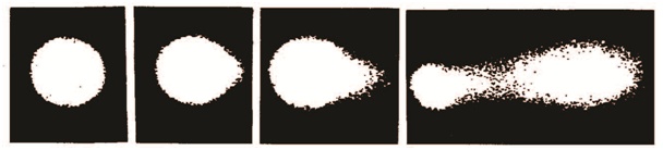 1551940725858101.png 1551940725858101.png