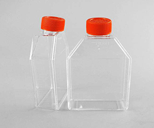 康寧430641細(xì)胞培養(yǎng)瓶 透氣蓋，斜頸