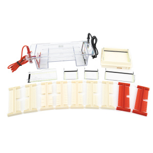 北京六一DYCP-31DN型瓊脂糖水平電泳儀(小號(hào))DNA電泳槽