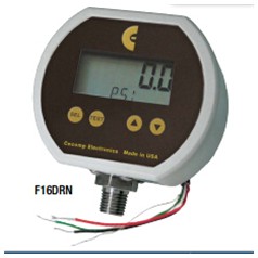 美國CECOMP壓力表