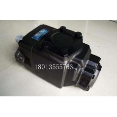 丹尼遜DENISON液壓泵銷(xiāo)售T6C-017-2R01-B1