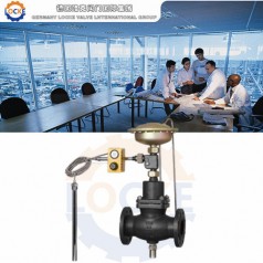 進口自力式流量溫度組合閥性能參數(shù),報價/價格,圖片