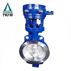 泰流科技（TKFM）渦輪硬密封對(duì)夾蝶閥D373H-10/16 C/P/R