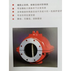 美國(guó)紅閥管中型止回閥