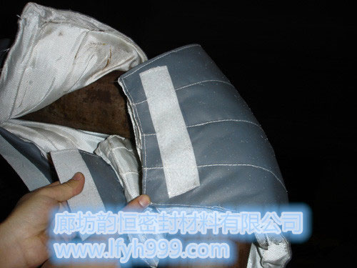 電廠保溫(汽輪機保溫套(火電、核電)、管道保溫套、閥門保溫套) (3)