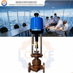 進口電子式電動調節(jié)閥性能參數(shù),報價/價格,圖片