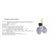 進口低壓緊急切斷電磁閥（通電關閉、手動打開）