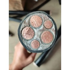 NH-YJV、NH-YJV22建筑工程耐火動力電纜 天行線纜國標品質價格優(yōu)惠