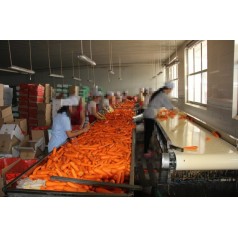 現(xiàn)貨供應(yīng)皮帶輸送機(jī)