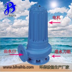 WQ0.75廠家直銷(xiāo)鑄鐵電動(dòng)潛水排污泵 環(huán)保污水處理泵沉淀池用泵