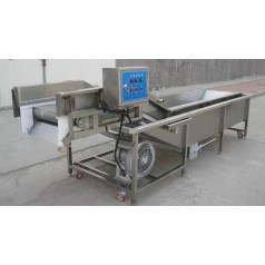 高壓氣泡清洗機(jī)-現(xiàn)貨蔬菜清洗機(jī)