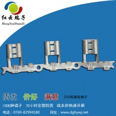 浙江250旗型端子按照國家標(biāo)準(zhǔn)優(yōu)質(zhì)生產(chǎn)