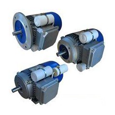 意大利CARPANELLI電機(jī)