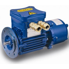 意大利CEMP無(wú)火花型電機(jī)