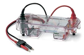 伯樂(lè)水平電泳槽Mini-SubCellGTSystem,7x10cmtray170