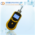 HD-P900泵吸式一氧化碳檢測(cè)儀高精度便攜式一氧化碳檢測(cè)儀
