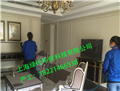 專業(yè)快速除甲醛除味公司，上海新裝修快速除甲醛公司，上海綠代環(huán)保lvdai-2280