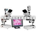 供應(yīng)云飛XTZ解剖鏡及成像設(shè)備，解剖鏡及成像設(shè)備廠家