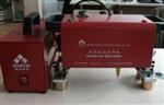 汽車大梁發(fā)動機摩托車車架號打碼機 便攜式氣動打標(biāo)機